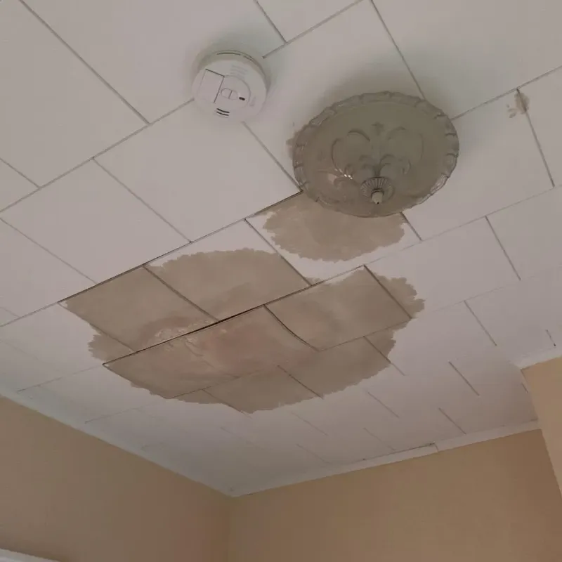 Ceiling Water Damage Repair in Dickson, TN