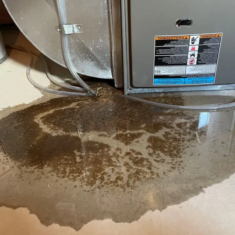 Pipe Burst and Leak Restoration in Dickson, TN