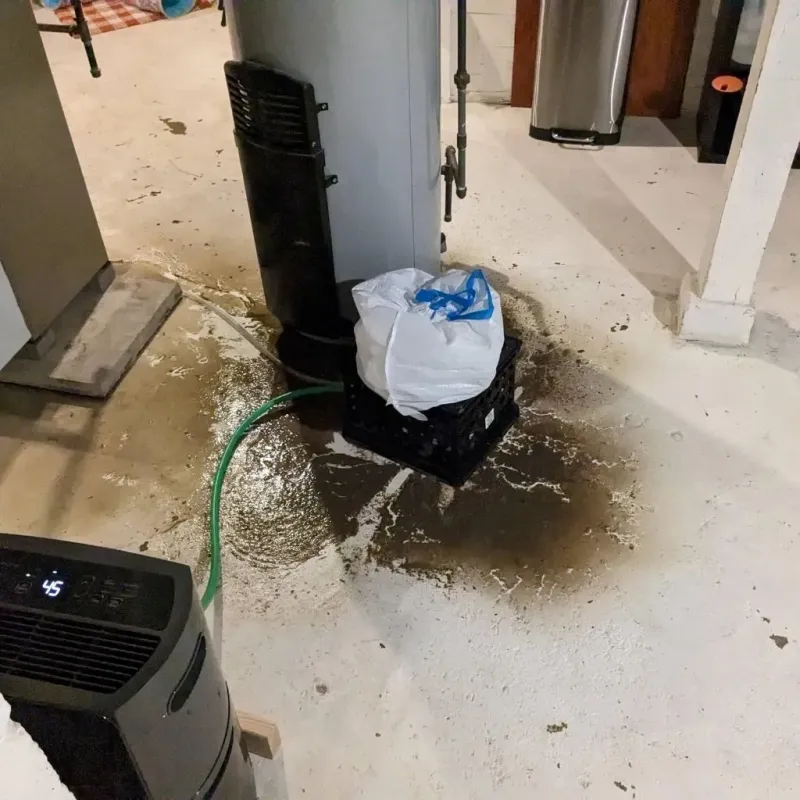 Sewage Backup Cleanup Service in Dickson, TN